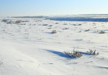 Kazakistan 'da kış manzarası