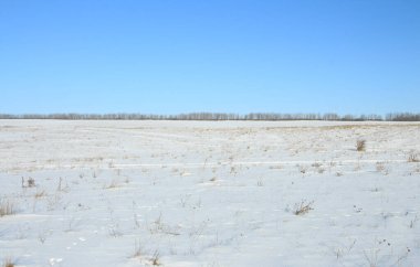 Baharın başında bir tarlası olan manzara