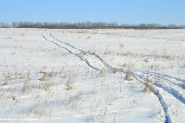 Ormanda karla kaplı yol