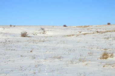 Karla kaplı ağaçlarla kaplı kış manzarası