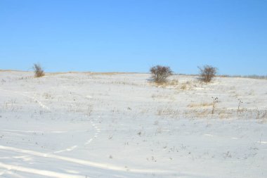 Kış manzarası, bir kar örtülü tarla, bir tarla, bir ağaç, bir tarla, bir kar.
