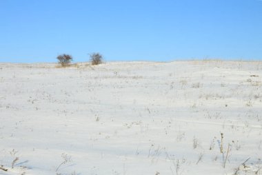 Kar manzarası - örtülü alan