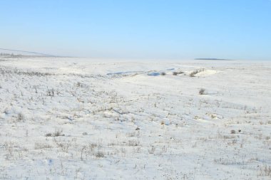Kış manzarası, karlı tarlalar, beyaz bir tarladaki ağaçlar.