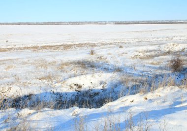 Rusya 'da kış tarlası