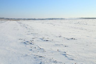 Kış tarlası karla kaplıydı ve arka planda kar yağışı vardı..