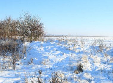 Mavi gökyüzü ve karla kaplı donmuş kış çayırı
