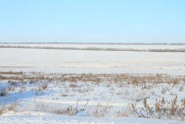 Karla kaplı ağaçlarla kaplı kış manzarası