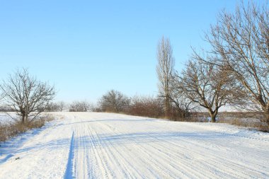 Kışın karla kaplanmış ağaçlarla kaplı kır yolu, yakın çekim