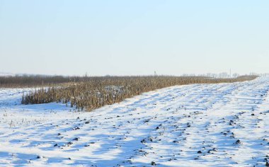 Kış manzarası. Uzakta karlı bir tarla ile yol