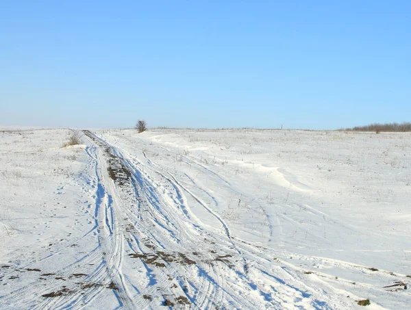 Kış ormanında yol
