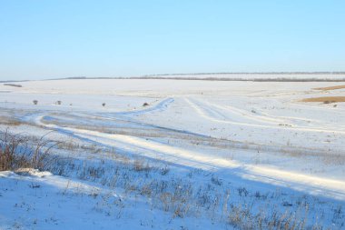 Kar ve ağaçlarla kaplı kış manzarası