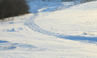 Kışın, güneşli bir günde ormanda yol.
