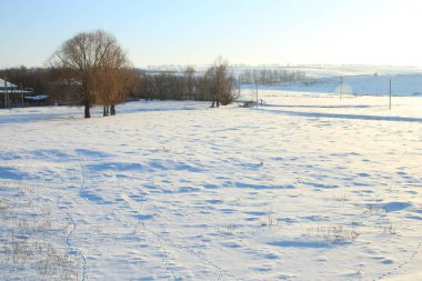 Kış manzarası tarlalar ve karla kaplı