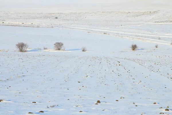 Karla kaplı ağaçlarla kaplı kış manzarası
