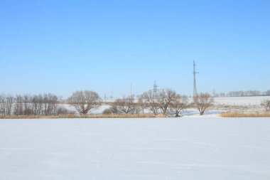 Karlı kış manzarası - ağaçlarla kaplı