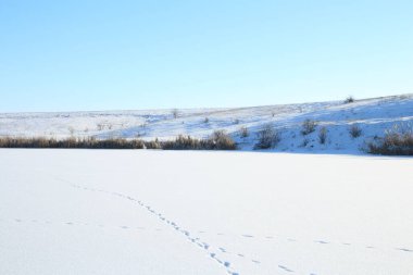 Karla kaplı ağaçlarla kaplı kış manzarası