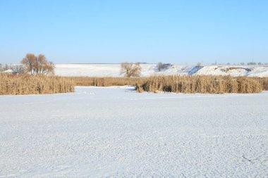 Karla kaplı ağaçlarla kaplı kış manzarası