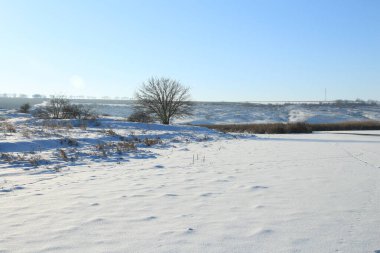 Güzel bir kış ormanı manzarası
