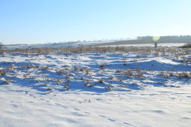Karla kaplı ağaçlarla kaplı kış manzarası