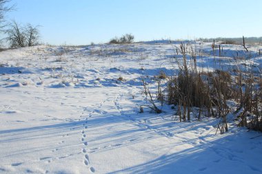 Karda nehir olan bir kış manzarası.