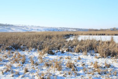 Karla kaplı ağaçlarla kaplı kış manzarası