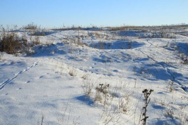 kış manzarası, kar, doğa, kar, kar, doğa