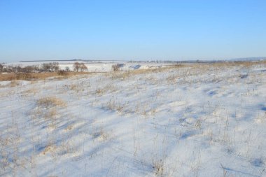 Karla kaplı ağaçlarla kaplı kış manzarası
