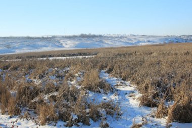 Doğanın güzel manzarası