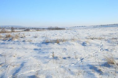 kış manzarası, kar, tarla, çimen, kar tarlası, tarla, kış, mavi gökyüzü, beyaz kar, soğuk, soğuk, doğa,