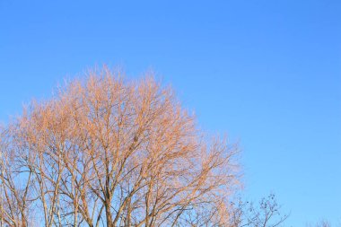 Doğanın güzel manzarası