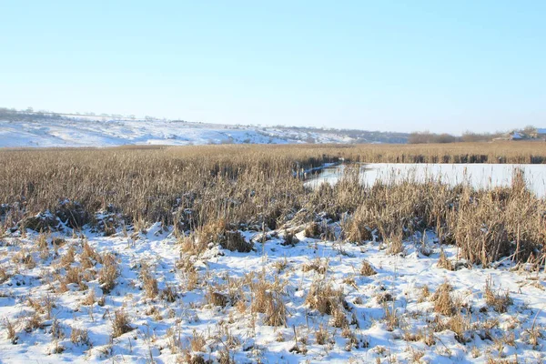 Karla kaplı ağaçlarla kaplı kış manzarası