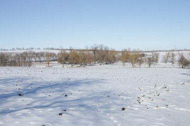 Kar ve ağaçlarla kaplı kış manzarası