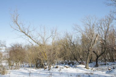 Rus köyünde kış manzarası