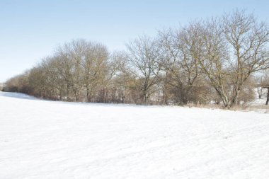 Kırsal kesimde kış tarlaları, ağaçlar ve kar
