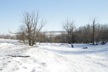 Kar ve ağaçlarla kaplı kış manzarası