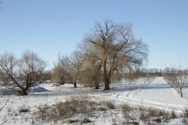 winter landscape with a river in the village