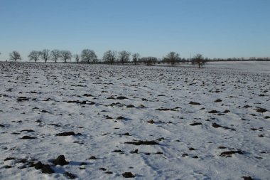 Karla kaplı ağaçlarla kaplı kış manzarası