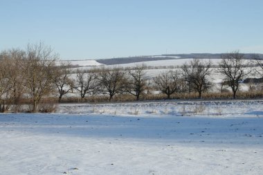 Doğanın güzel manzarası