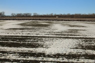 Kar yağışı sonrası kar tarlası. Köyde kış manzarası.