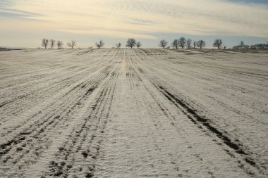 alanında kış manzarası