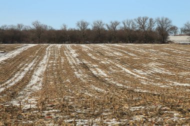 Karla kaplı ağaçlarla kaplı kış manzarası