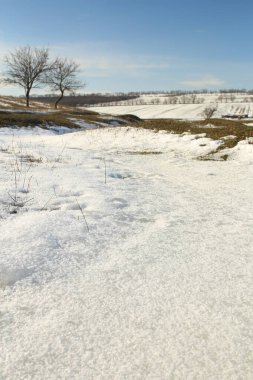 Karla kaplı ağaçlarla kaplı kış manzarası
