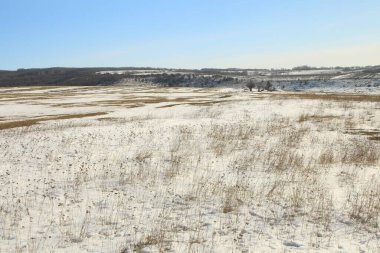 Kar ve ağaçlarla kaplı kış manzarası