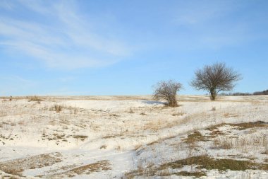 Karla kaplı ağaçlarla kaplı kış manzarası