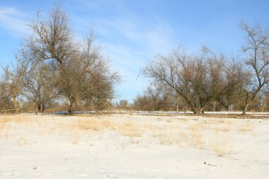 Köyde kış mevsimi