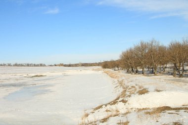 Kış manzarası, doğa, ağaçlar ve kar
