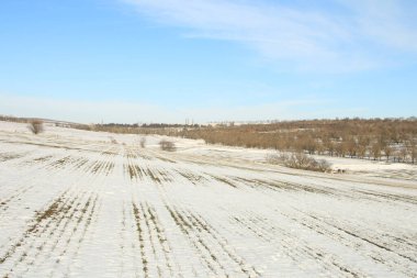 Kış manzarası. Kış manzarası.