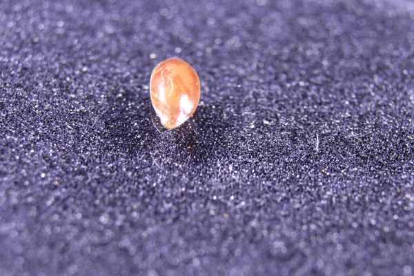 Siyah arkaplanda küçük siyah fasulye tohumları.