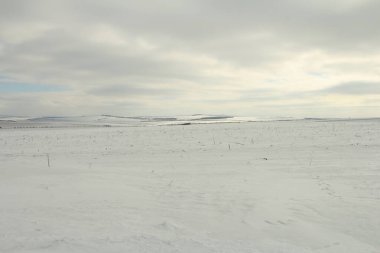 Kırsalda karlı bir tarlanın kış manzarası
