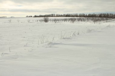 kar tarlası ve tarla
